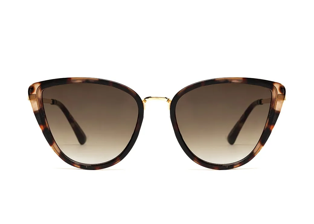 Exclusive Polaryzacja 3339-C2P z etui